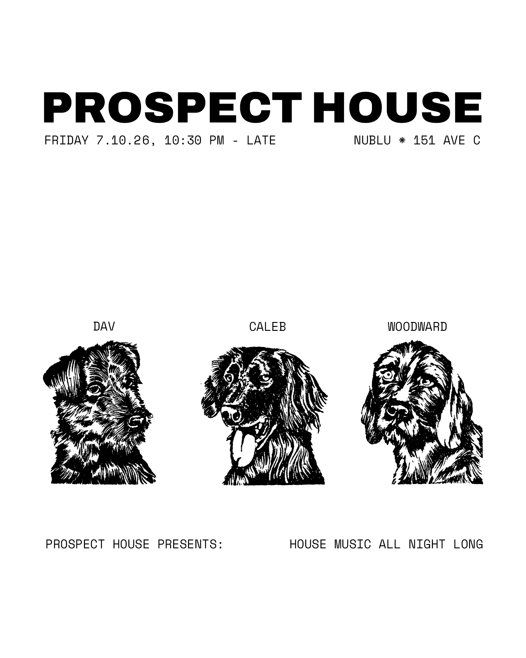 Nublu All Night Long flyer